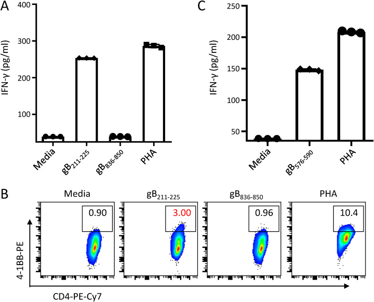 FIG 3