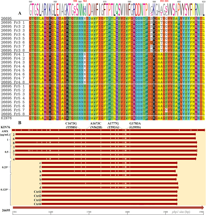 An illustration depicts amino acid sequences with specific mutations highlighted. The bar graph displays mutation frequencies and antibiotic resistance levels across different samples.