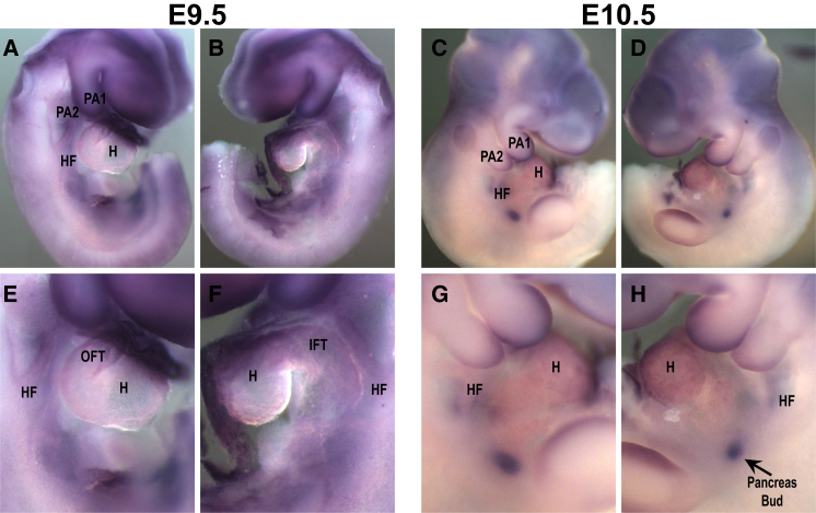 Figure 3