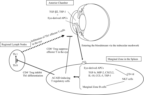 Fig. 1