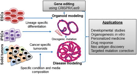 graphic file with name nihms967149u1.jpg