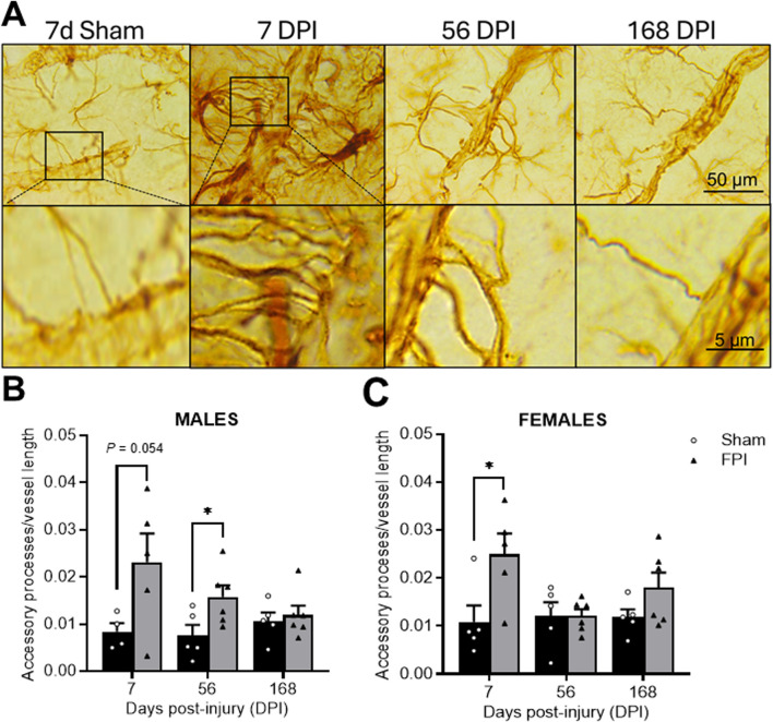 FIGURE 3