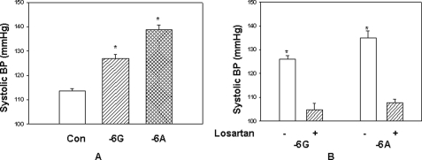 FIGURE 9.