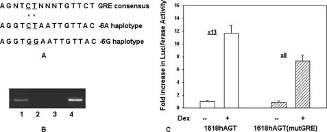 FIGURE 4.