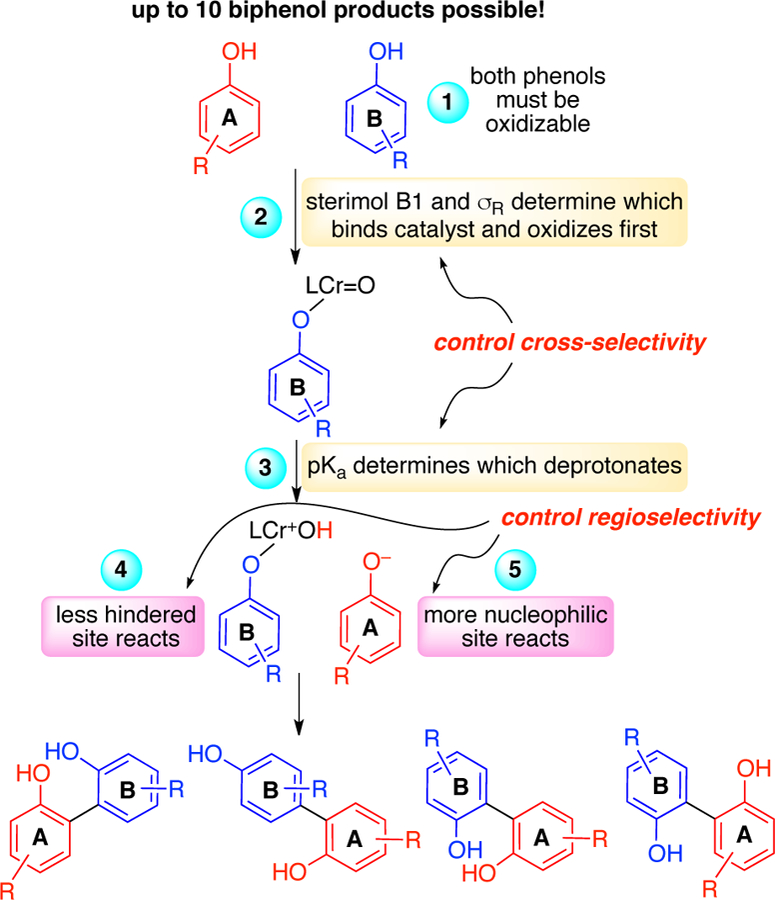 Scheme 6