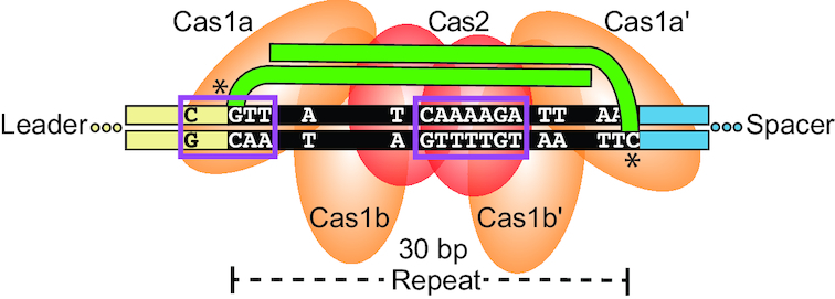 Figure 6.