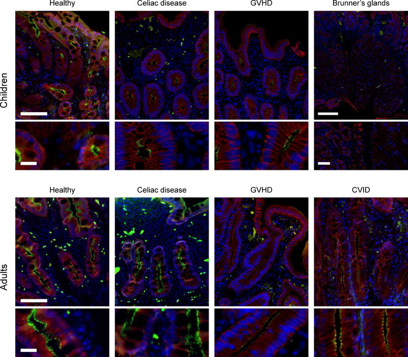 Figure 4: