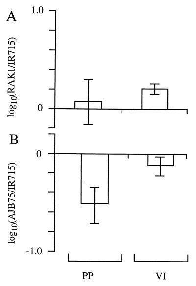 FIG. 6