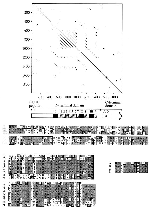 FIG. 3