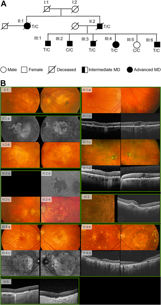 Figure 3