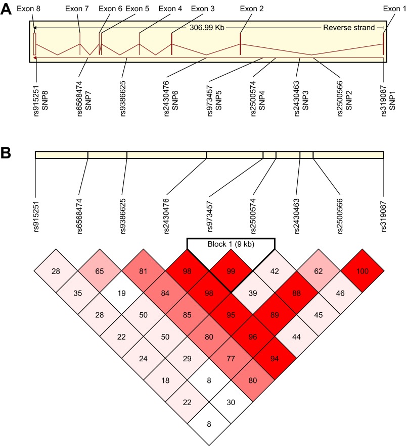 Fig. 1.