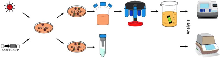 FIG. 1.