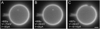 Fig. S4.