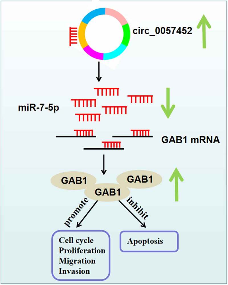 Figure 7.