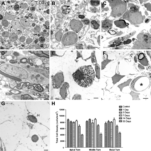 FIG. 7