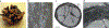 Figure 3 |
