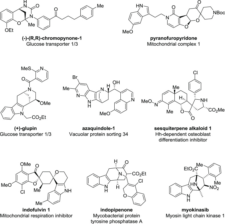 Figure 11