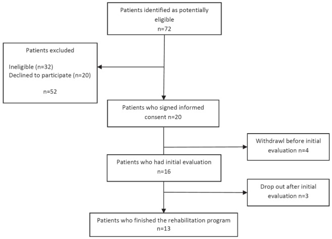 Figure 1)