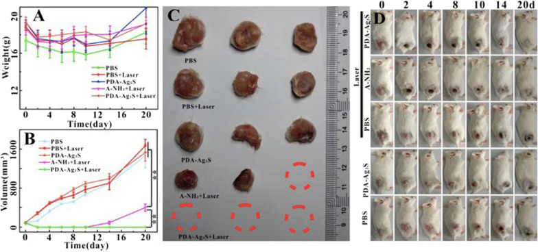 Fig. 12