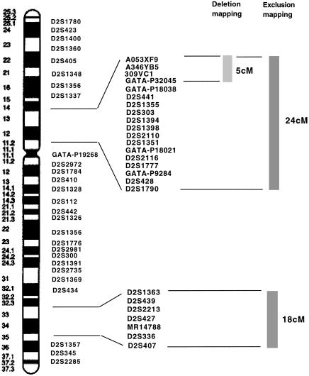 Figure  1