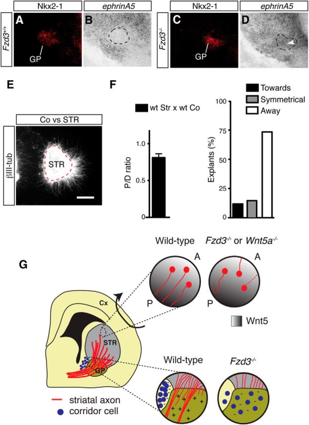 Figure 11.