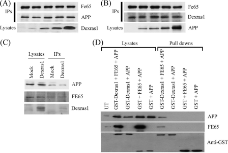 FIGURE 4.