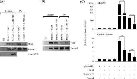 FIGURE 5.