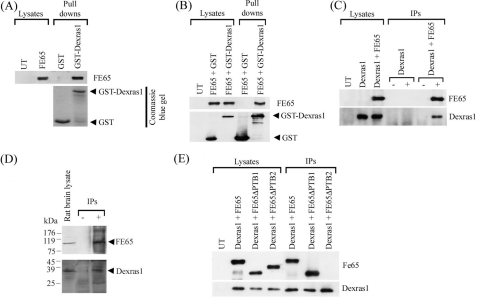 FIGURE 1.