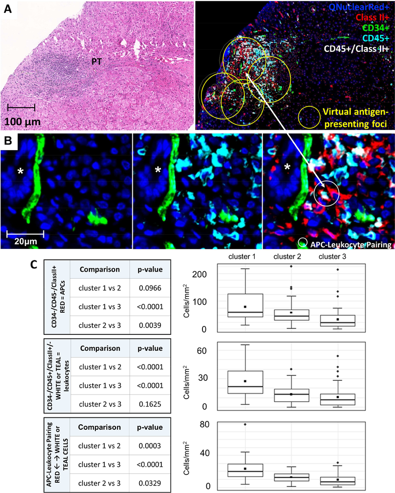 Figure 4: