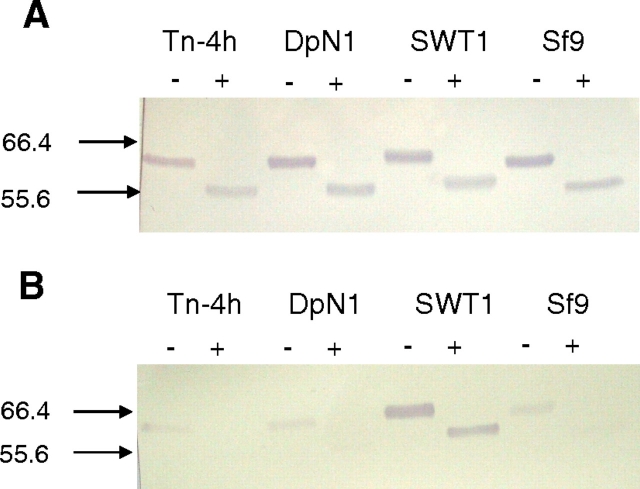 Fig. 4