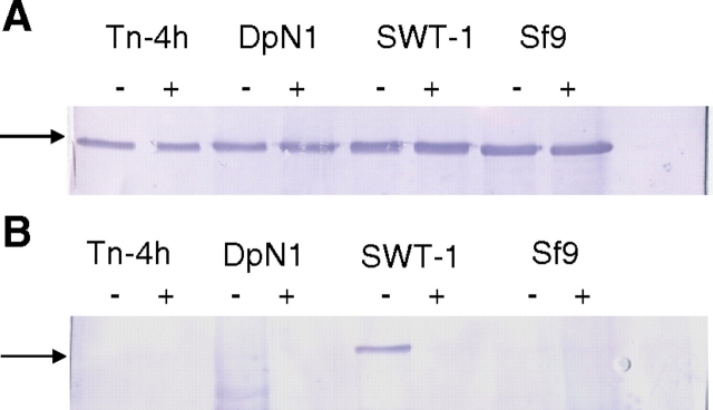 Fig. 5