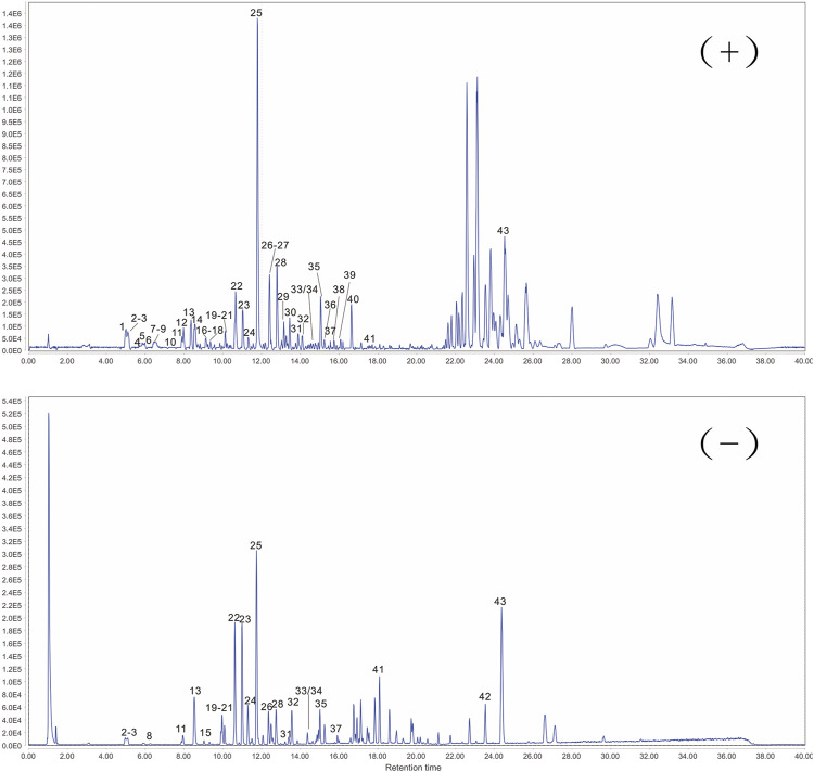 FIGURE 2