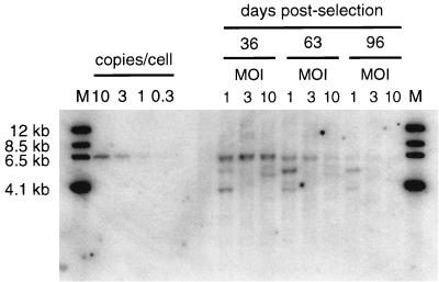 FIG. 5