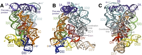 FIGURE 3.