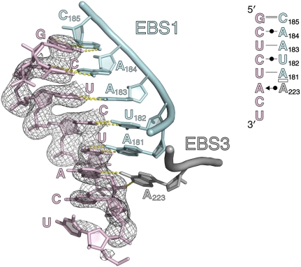 FIGURE 9.