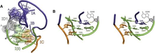 FIGURE 5.