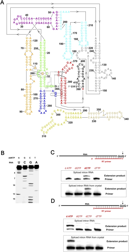 FIGURE 1.