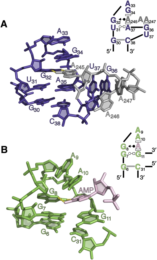 FIGURE 4.