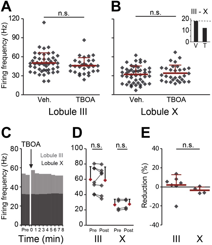 Figure 6—figure supplement 2.