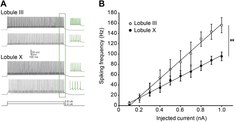 Figure 5—figure supplement 1.