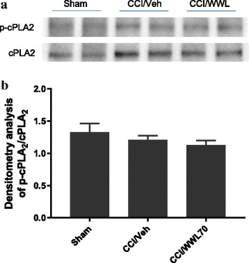 Fig. 11