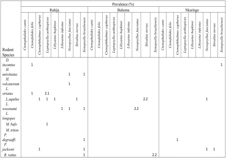 graphic file with name AFHS2003-1168Fig3.jpg