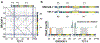 Fig. 4 |