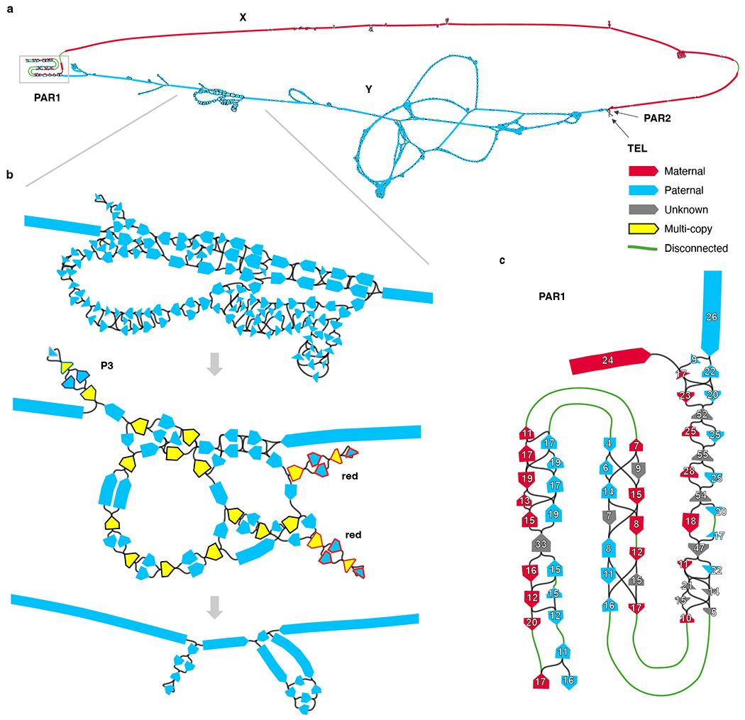 Extended Data Fig. 1 |