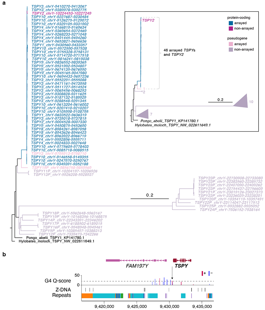 Extended Data Fig. 6 |