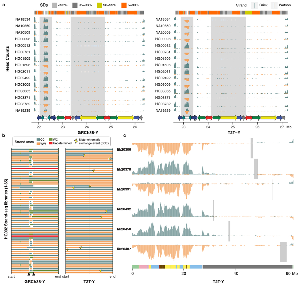 Extended Data Fig. 7 |