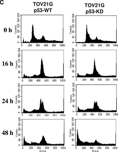 FIG. 7.