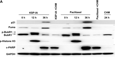 FIG. 5.