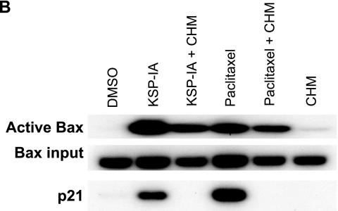 FIG. 5.