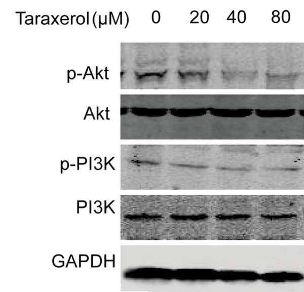 Fig.6